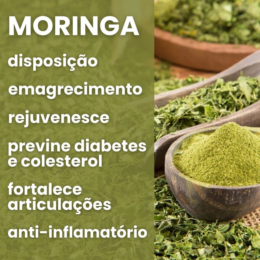 Moringa - 100% pura
