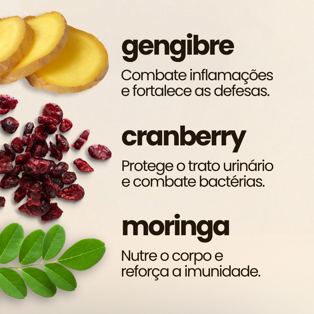 Combo Gengibre + Cranberry + Moringa
