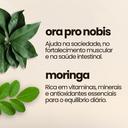 Combo Moringa + Ora-pro-nóbis