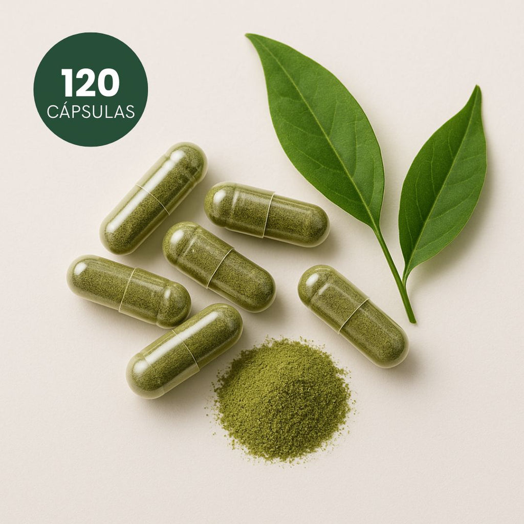 Ora-pro-nóbis - 100% pura