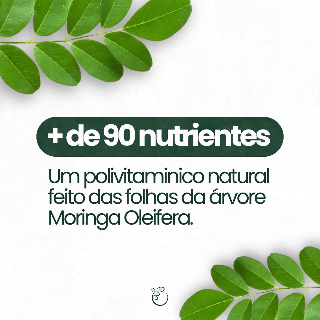 Moringa - 100% pura