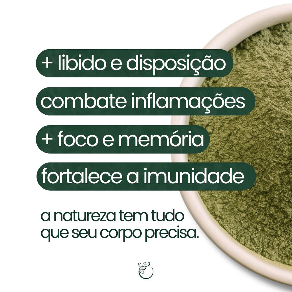 Moringa - 100% pura