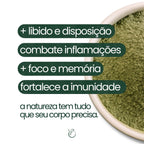 Moringa - 100% pura