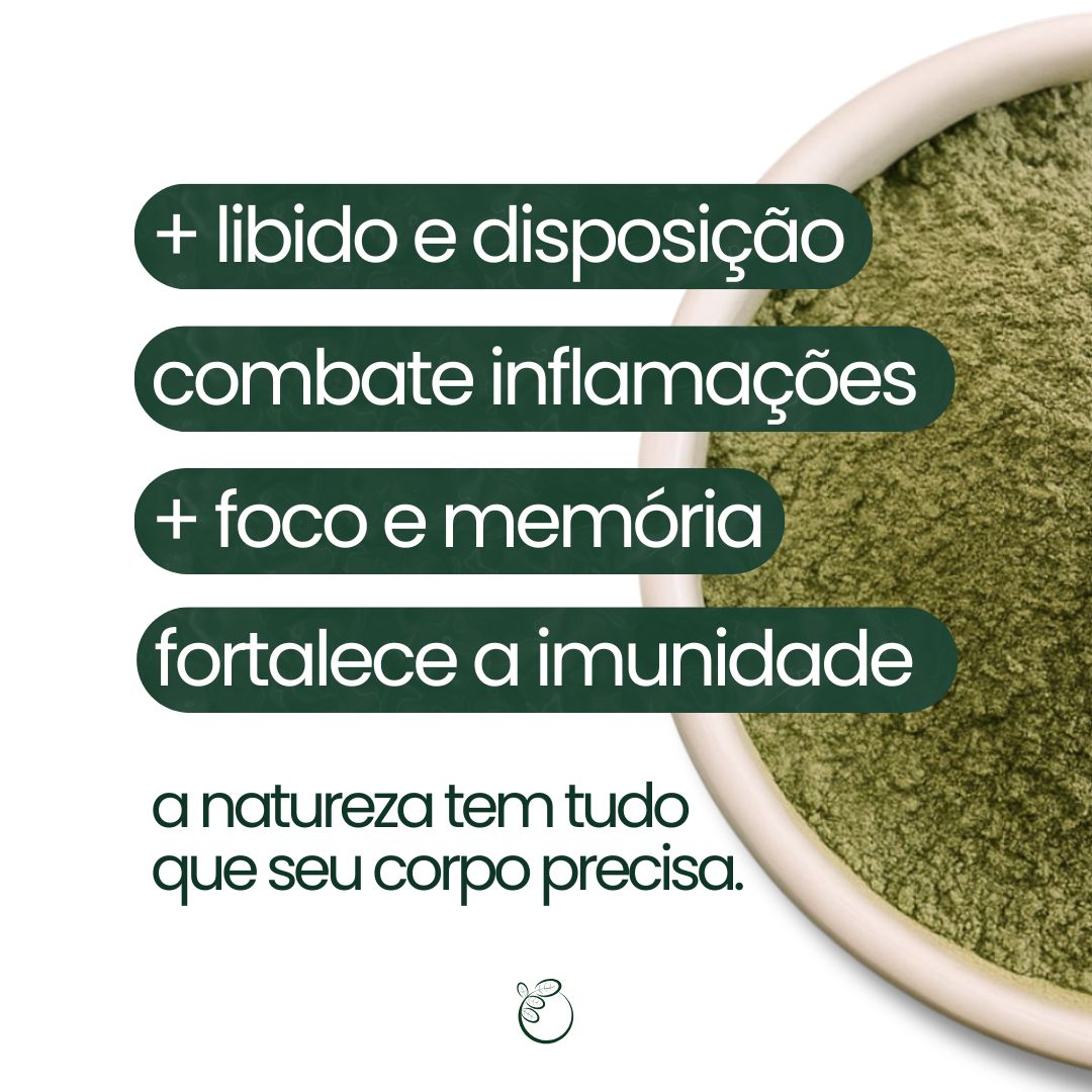 Moringa - 100% pura