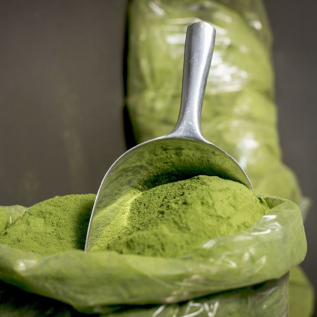 Ora-pro-nóbis - 100% pura