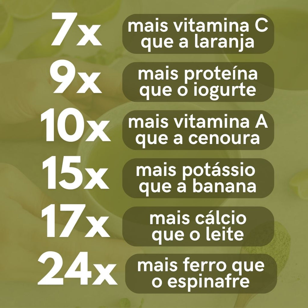 Moringa - 100% pura