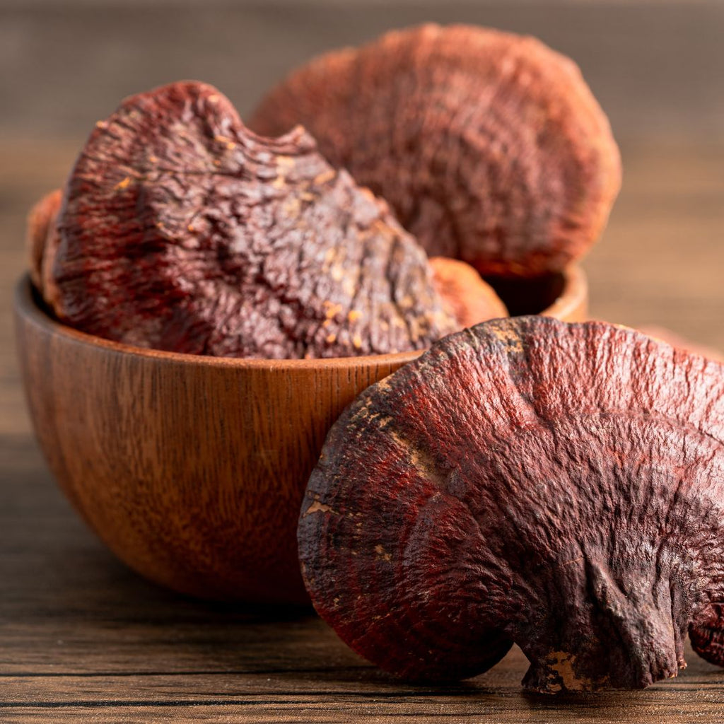 Cogumelo Reishi - 100% puro