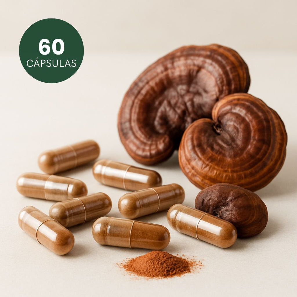 Cogumelo Reishi - 100% puro